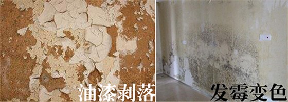 油漆涂料常見問題，數(shù)碼彩漆教你妙招應對