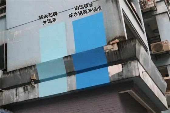 數(shù)碼彩銅墻鐵壁防水抗堿外墻漆與其他品牌外墻漆現(xiàn)場打板對(duì)比