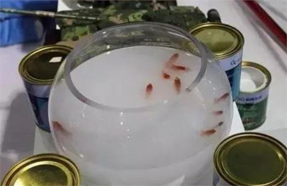 修煉內(nèi)功，讓行業(yè)水性漆回歸健康軌道_深圳水性木器漆品牌廠家