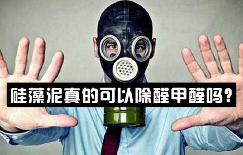 硅藻泥真的可以除醛甲醛嗎？