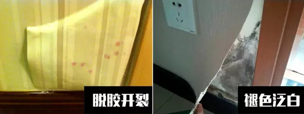 〖家裝資訊臺(tái)〗潮濕天氣，房子剪開(kāi)壁紙全是蘑菇